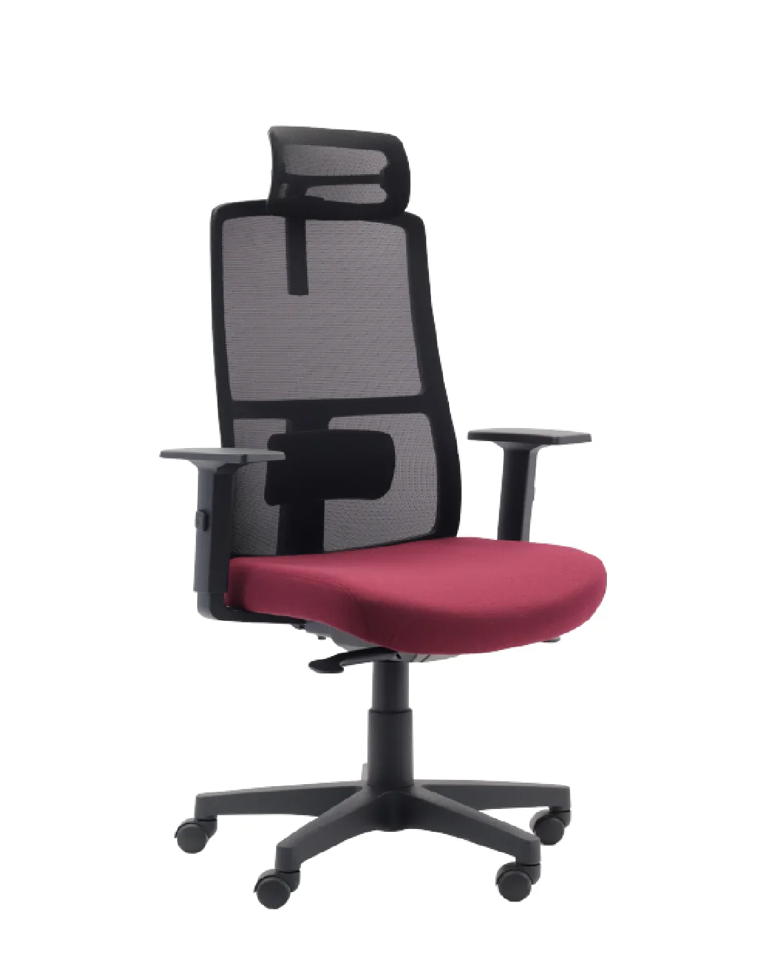 Xara Meshback, Highback