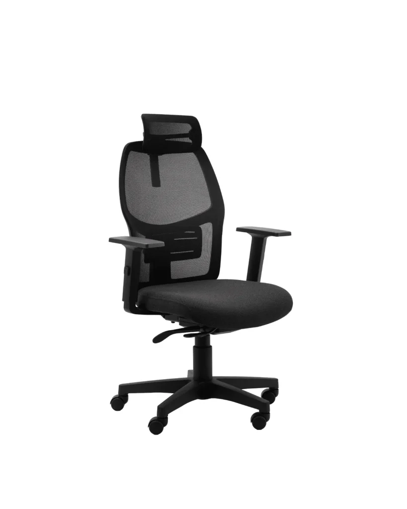 Astra Meshback, task chairs