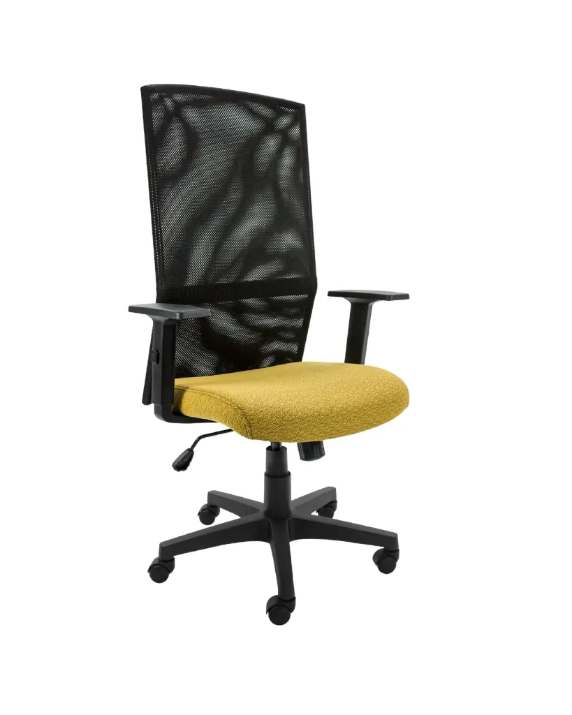 Zehn Meshback, task chairs